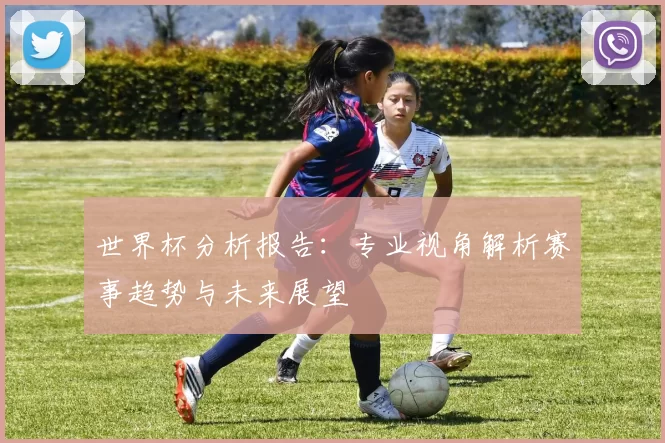 世界杯分析报告:专业视角解析赛事趋势与未来展望