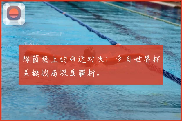 绿茵场上的命运对决：今日世界杯关键战局深度解析。