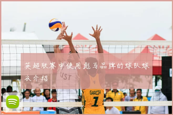 英超联赛中使用彪马品牌的球队球衣介绍