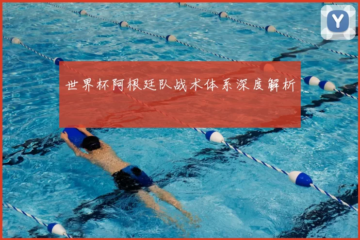 世界杯阿根廷队战术体系深度解析