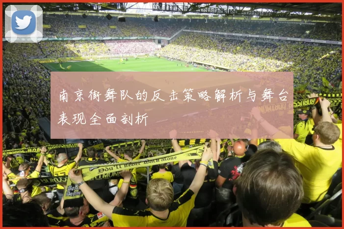南京街舞队的反击策略解析与舞台表现全面剖析