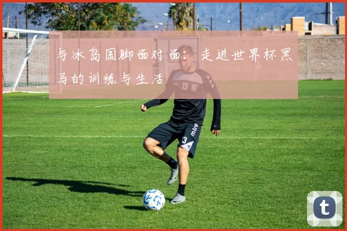 与冰岛国脚面对面:走进世界杯黑马的训练与生活