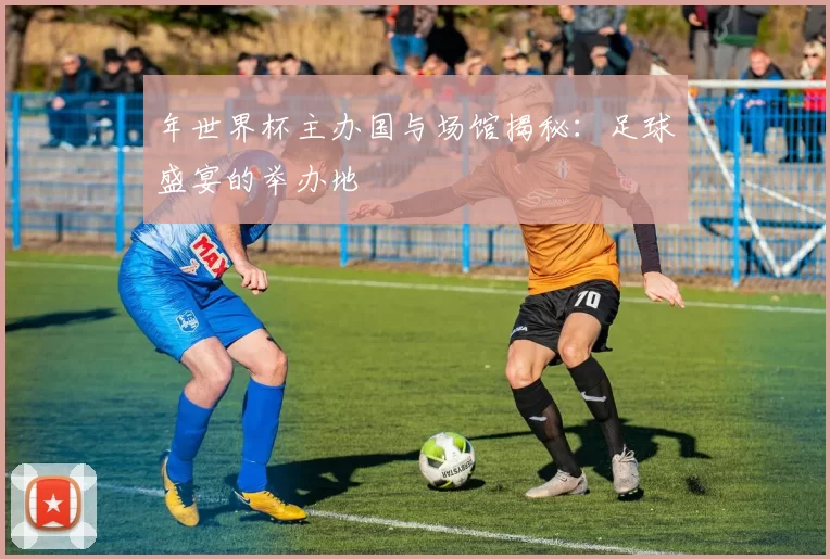 年世界杯主办国与场馆揭秘：足球盛宴的举办地