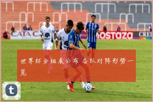 世界杯分组表公布 各队对阵形势一览