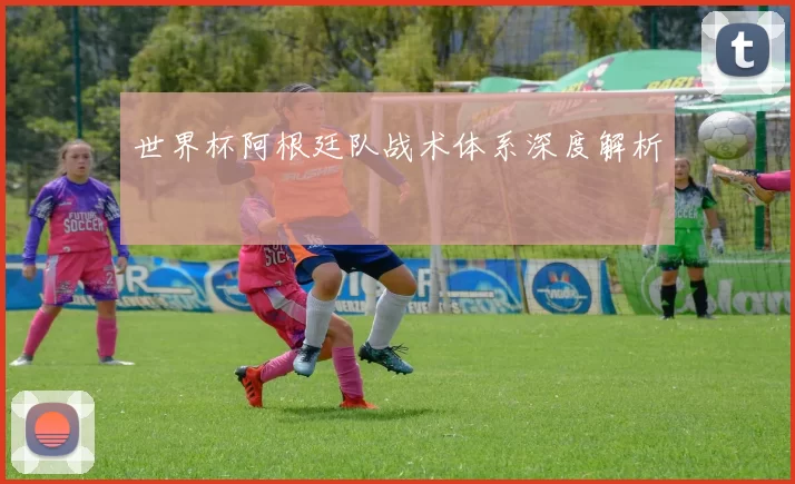 世界杯阿根廷队战术体系深度解析