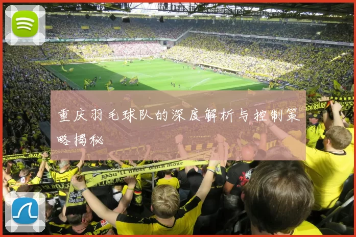 重庆羽毛球队的深度解析与控制策略揭秘