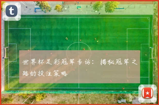 世界杯足彩冠军专访:揭秘冠军之路的投注策略
