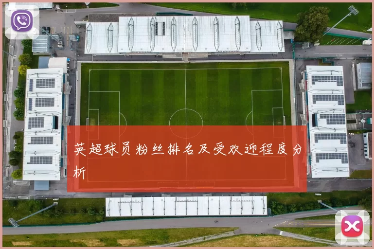 英超球员粉丝排名及受欢迎程度分析