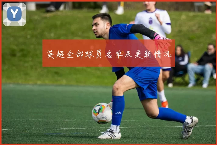 英超全部球员名单及更新情况