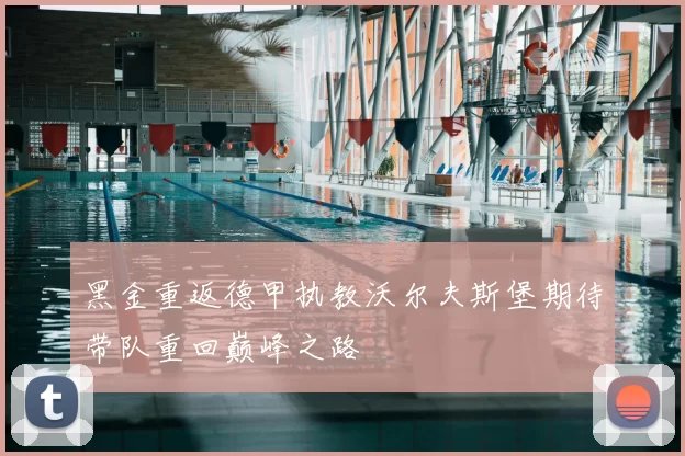 黑金重返德甲执教沃尔夫斯堡期待带队重回巅峰之路
