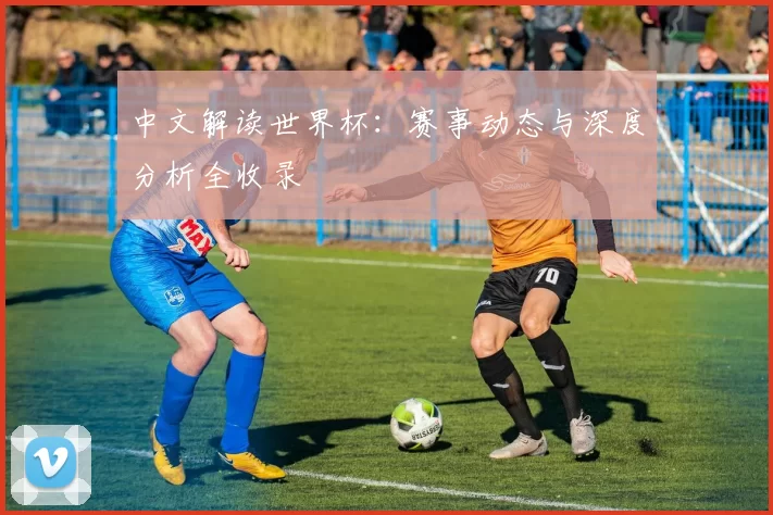 中文解读世界杯:赛事动态与深度分析全收录