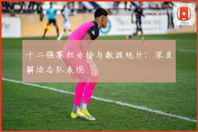 十二强赛积分榜与数据统计:深度解读各队表现