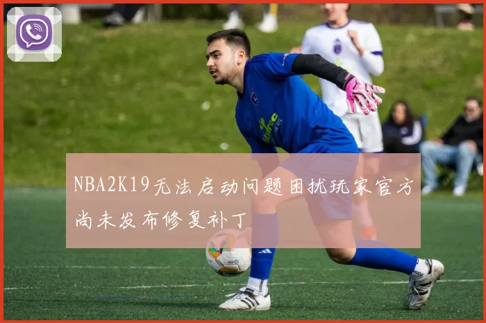 NBA2K19无法启动问题困扰玩家官方尚未发布修复补丁