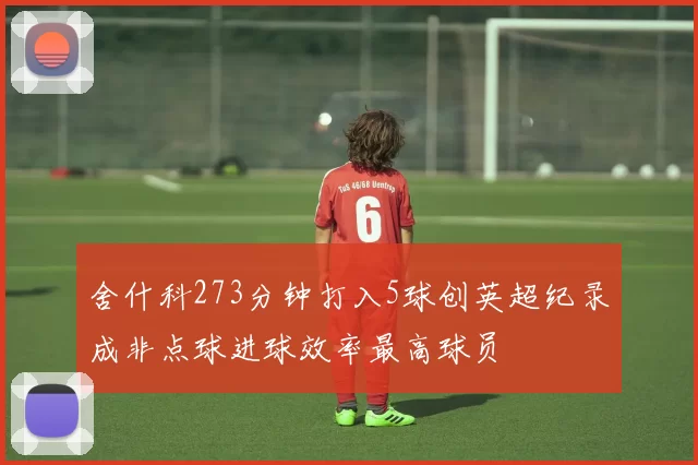 舍什科273分钟打入5球创英超纪录成非点球进球效率最高球员