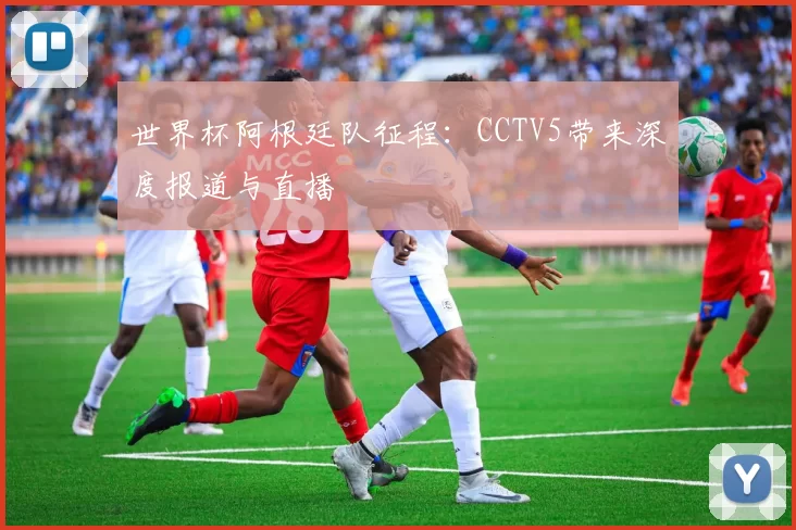 世界杯阿根廷队征程:CCTV5带来深度报道与直播