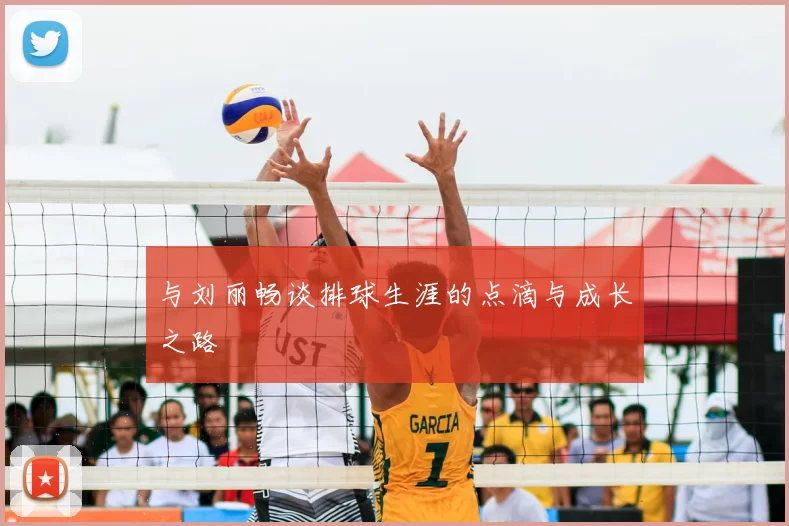 与刘丽畅谈排球生涯的点滴与成长之路
