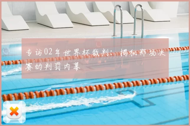 专访02年世界杯裁判:揭秘那场决赛的判罚内幕