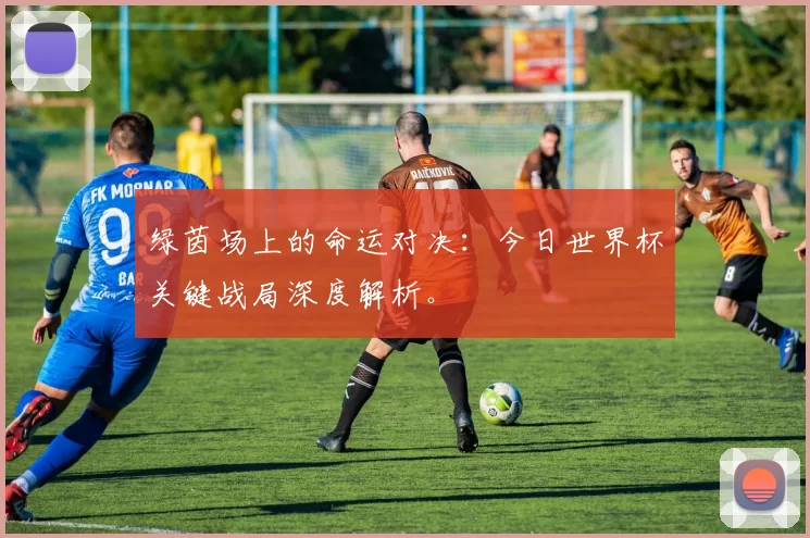 绿茵场上的命运对决：今日世界杯关键战局深度解析。