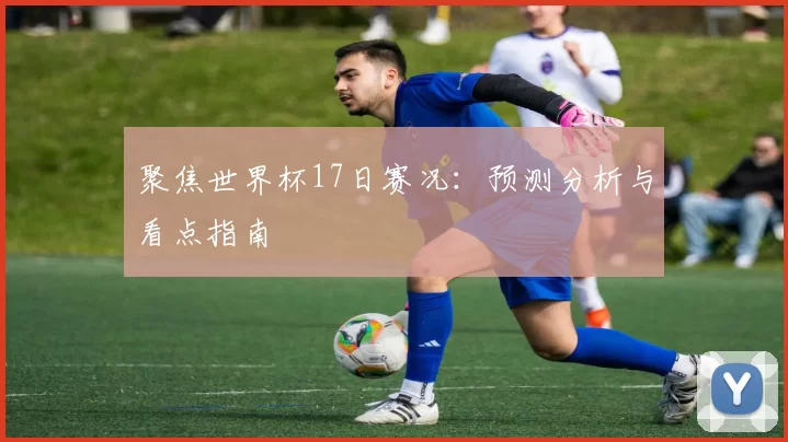 聚焦世界杯17日赛况:预测分析与看点指南