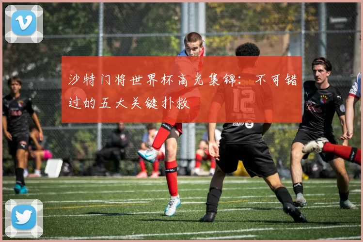 沙特门将世界杯高光集锦:不可错过的五大关键扑救