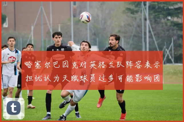 哈塞尔巴因克对英格兰队阵容表示担忧认为天赋球员过多可能影响团队合作