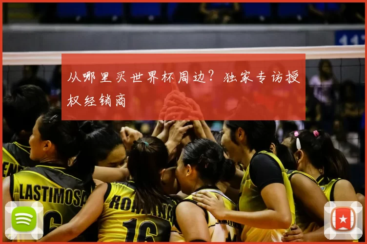 从哪里买世界杯周边?独家专访授权经销商