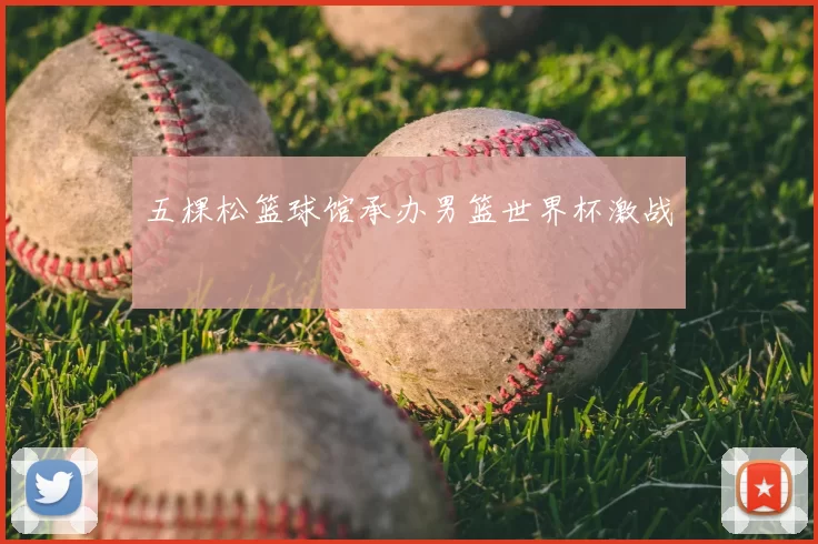 五棵松篮球馆承办男篮世界杯激战