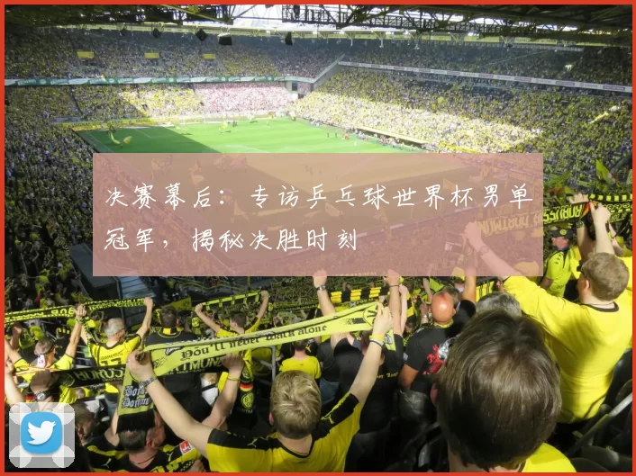 决赛幕后:专访乒乓球世界杯男单冠军,揭秘决胜时刻