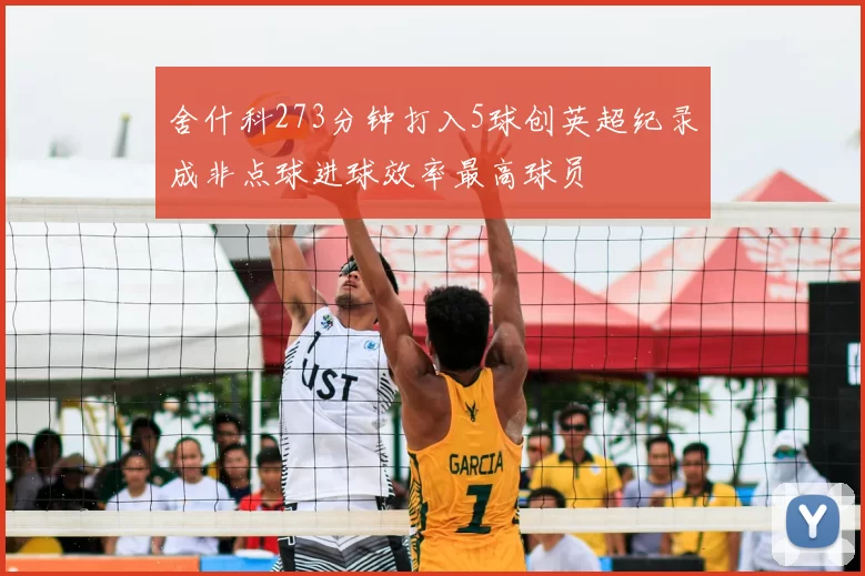 舍什科273分钟打入5球创英超纪录成非点球进球效率最高球员