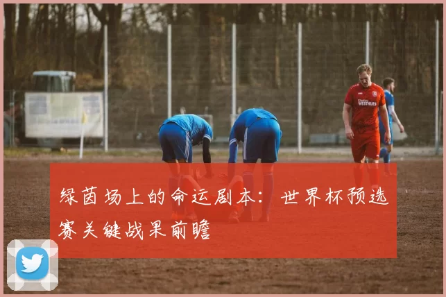 绿茵场上的命运剧本:世界杯预选赛关键战果前瞻