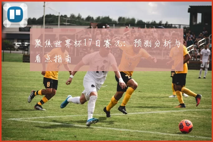 聚焦世界杯17日赛况:预测分析与看点指南