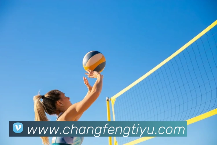 爱游戏官网发展历程